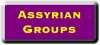 Assyrian Groups